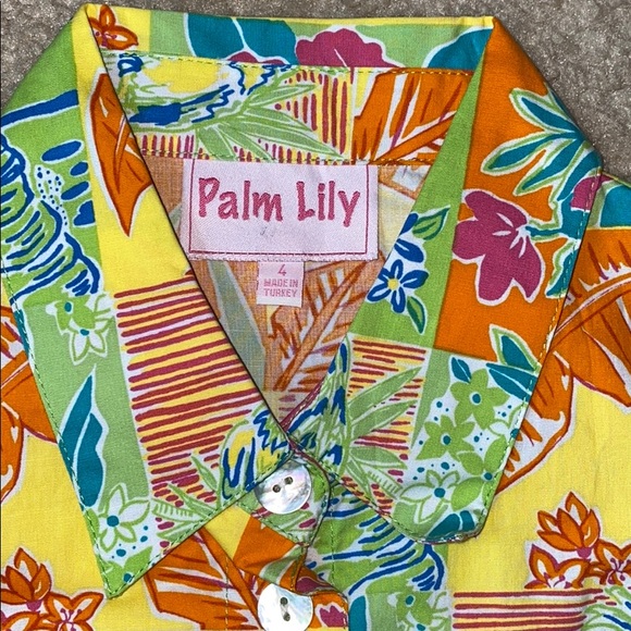 Nwt  dress size 4 petite - Picture 5 of 10